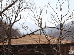 IMG_0388-北京水岸山吧度假村(雁栖镇店)