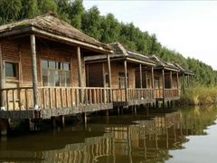 -白渔泡湿地公园