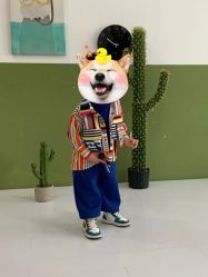 -小阿福儿童摄影(华中智谷店)