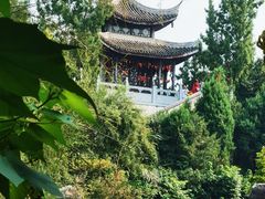 -花洲书院