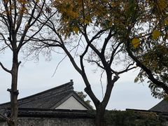 -绍兴鲁迅故里·沈园景区