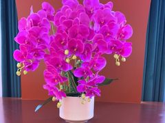 -马白开来特色羊排揪片子  (总店)