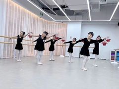 -红舞鞋舞蹈教育(近江校区)