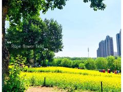 -长白岛森林公园