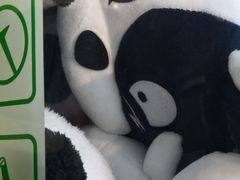 -李老爹香辣蟹(宣武门店)