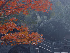 -慧因高丽寺