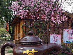 -无锡梅园公园