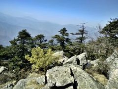 -秦岭风景区