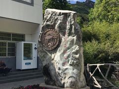-王顺山国家森林公园