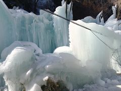 -青峰峡国家森林公园