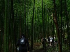 -铜陵市铜官山森林公园
