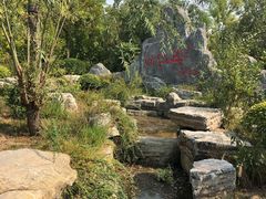 -武清南湖绿博园