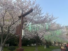-堤角公园