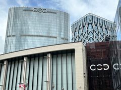 -DFS迪斐世(澳门新濠天地店)