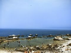 -养马岛旅游度假区