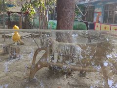 -常州淹城野生动物世界