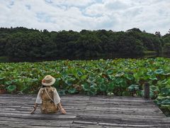 -福建鲤鱼洲酒店