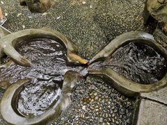 -成都市活水公园