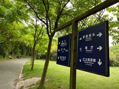 -上海吴淞炮台湾国家湿地公园
