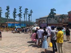 -重庆海昌加勒比海水世界
