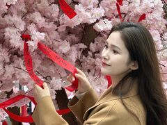 -金茂览秀城