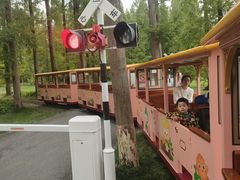 -黄海国家森林公园