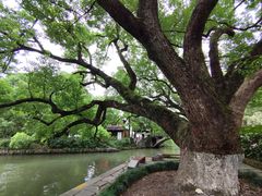 -西溪国家湿地公园