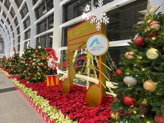 -翡翠拉面小笼包(机场DFS店)