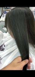 -蚂蚁造型沙龙