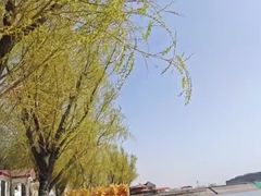 -青龙湖公园