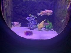 -梦幻海洋王国(吾悦广场张家港店)