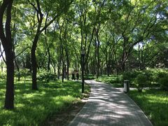 -玲珑塔公园