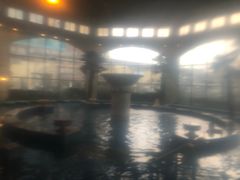 -仁爱团泊湖温泉中心