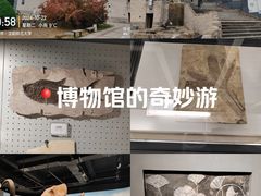 -辽宁古生物博物馆