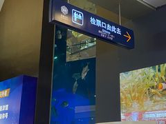 -成都浩海立方海洋公园