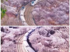 -居庸关长城