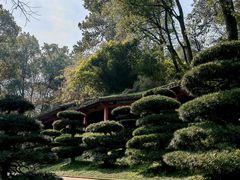 -南山植物园