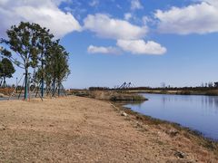 -春花秋色城市公园
