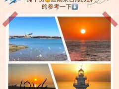 -日照海滨国家森林公园