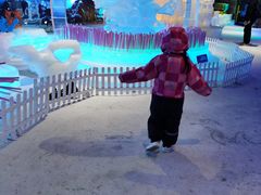 -海合安成都极地海洋公园