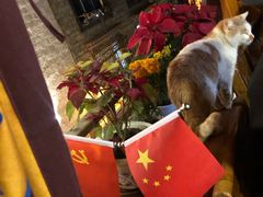 景观位-玛吉阿米·餐吧