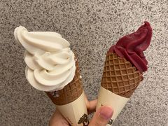 椰椰脆筒-喜茶(广州骏壹万邦广场店)