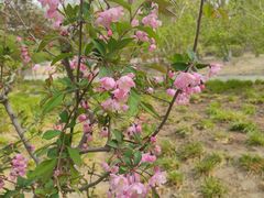 -元大都城垣遗址公园