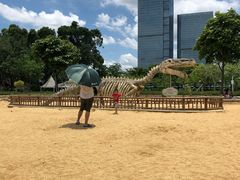 -海珠儿童公园