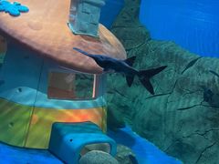 -梦幻海洋王国(吾悦广场张家港店)