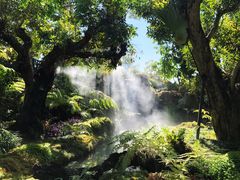 -Chom Cafe and Restaurant