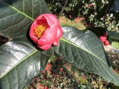 -华南国家植物园-售票处