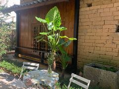 -村上春树