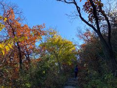 -北京西山国家森林公园