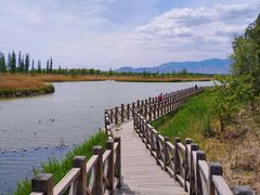 -野鸭湖国家湿地公园